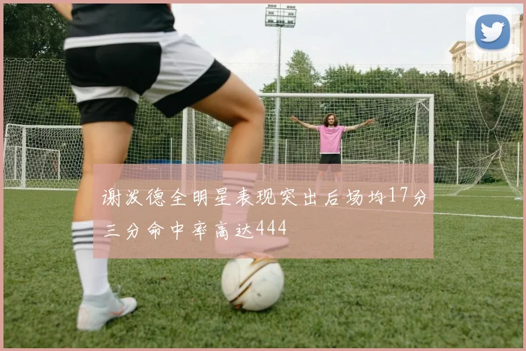 谢泼德全明星表现突出后场均17分三分命中率高达444