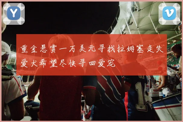 重金悬赏一万美元寻找拉姆塞走失爱犬希望尽快寻回爱宠