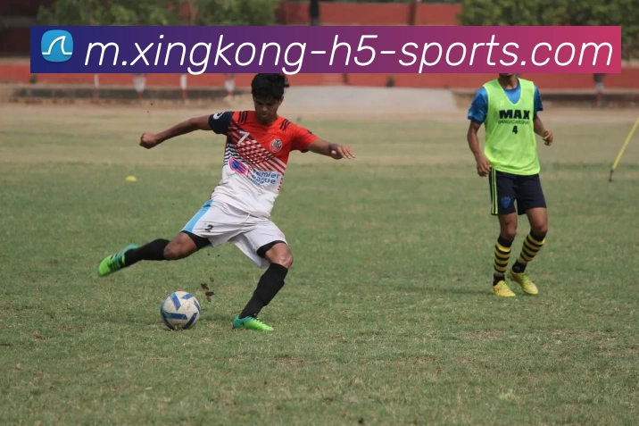 星空体育发展历程